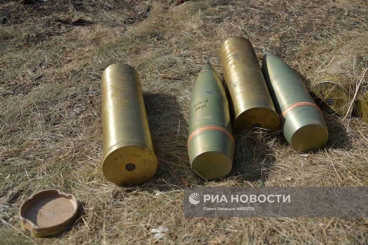 Изображение публикации 736dead5-949a-4005-8492-f61cce79168c