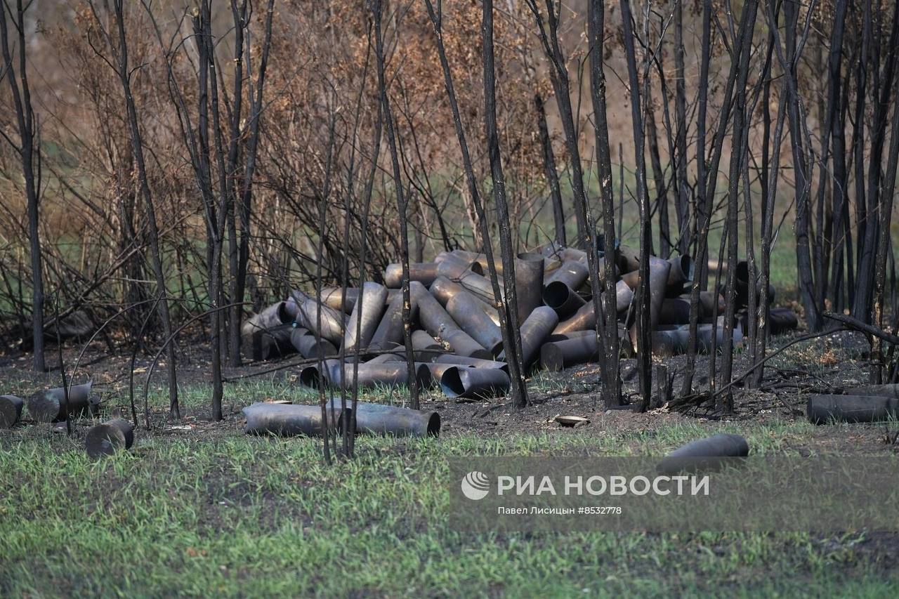 Изображение публикации 736dead5-949a-4005-8492-f61cce79168c