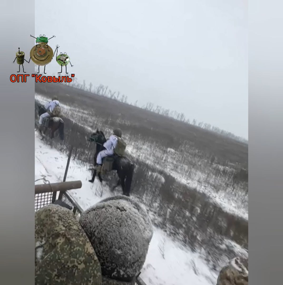 Изображение публикации 73ae9f90-a0a0-4e7a-aed4-0a9055586762