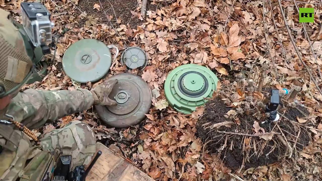 Изображение публикации 74591257-31b7-40ee-ab77-621aee8791f3