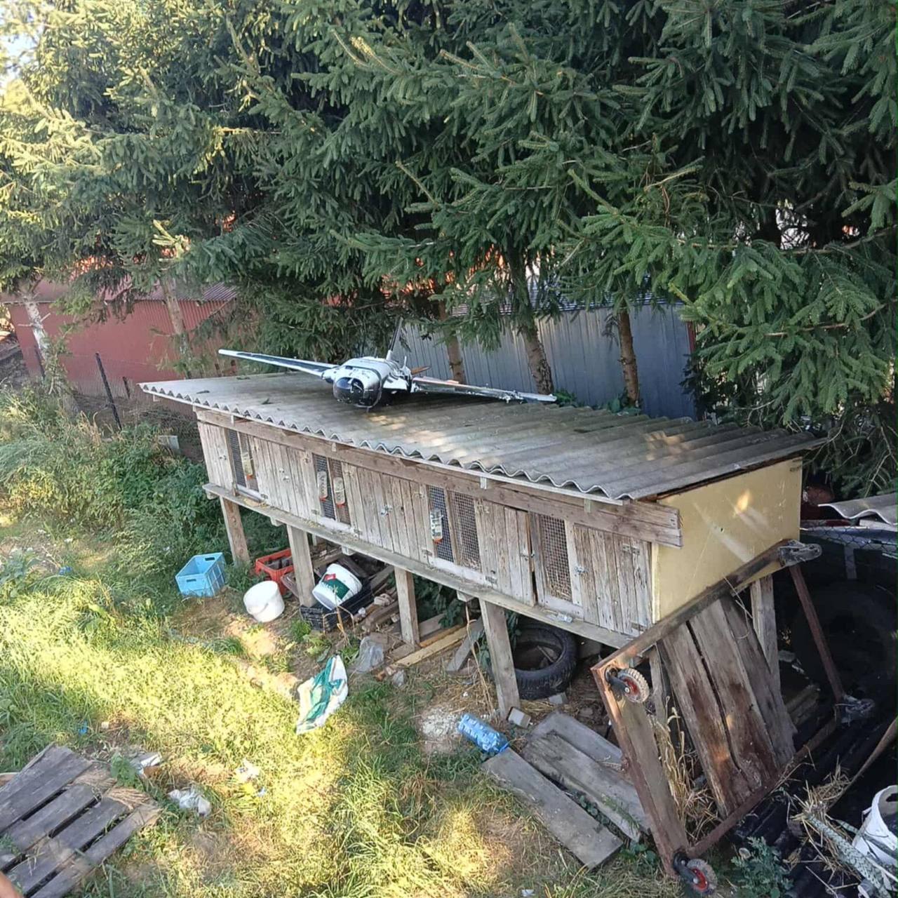 Изображение публикации 7521fb84-71cf-412f-ab7b-5f4785d46e06