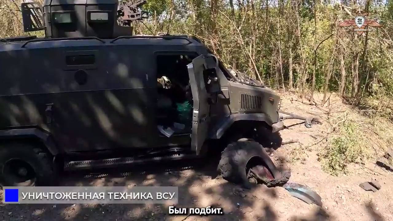 Изображение публикации 754c6761-dbe4-485d-babf-cfbd2d8afca9