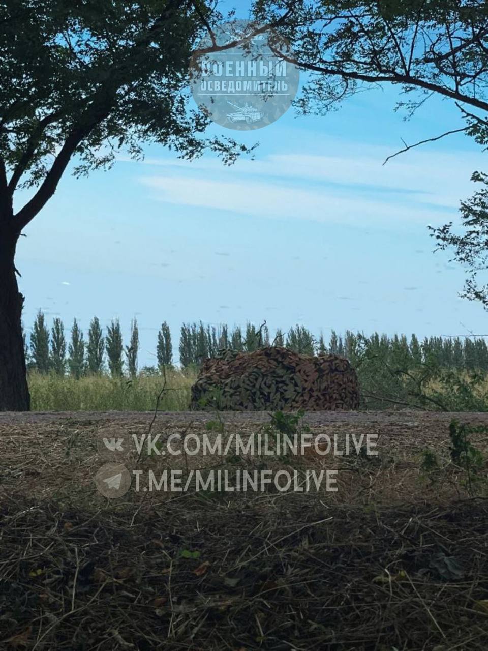 Изображение публикации 755c7f66-af3f-4d33-aa83-23b11c7e457f