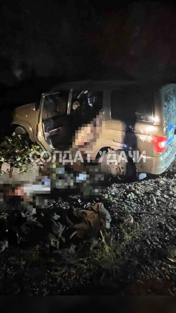 Изображение публикации 76550d29-eb25-4d00-8c58-70c3e18849d8