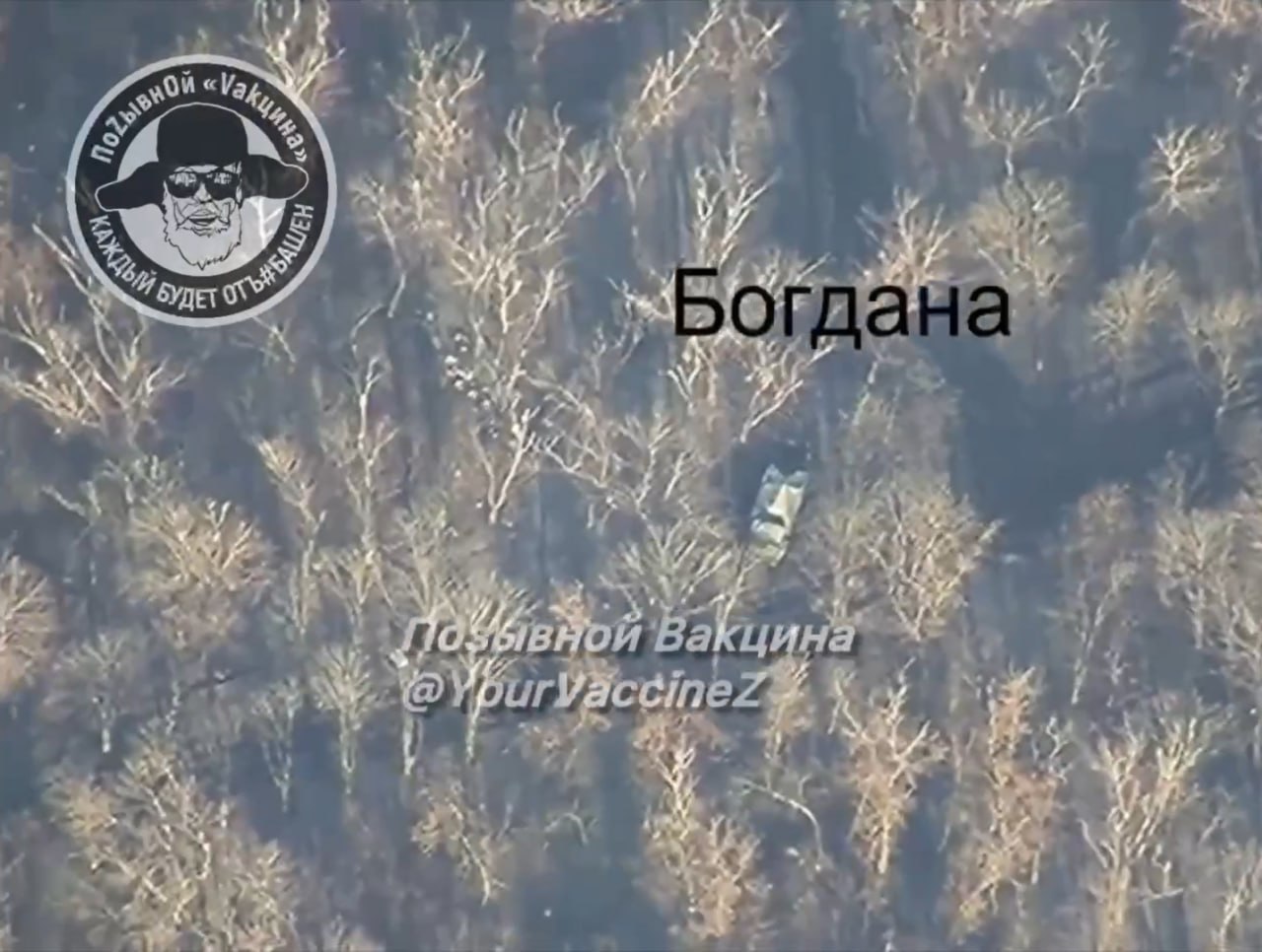 Изображение публикации 7683bb8e-032e-4d11-972c-907f1853e8e9