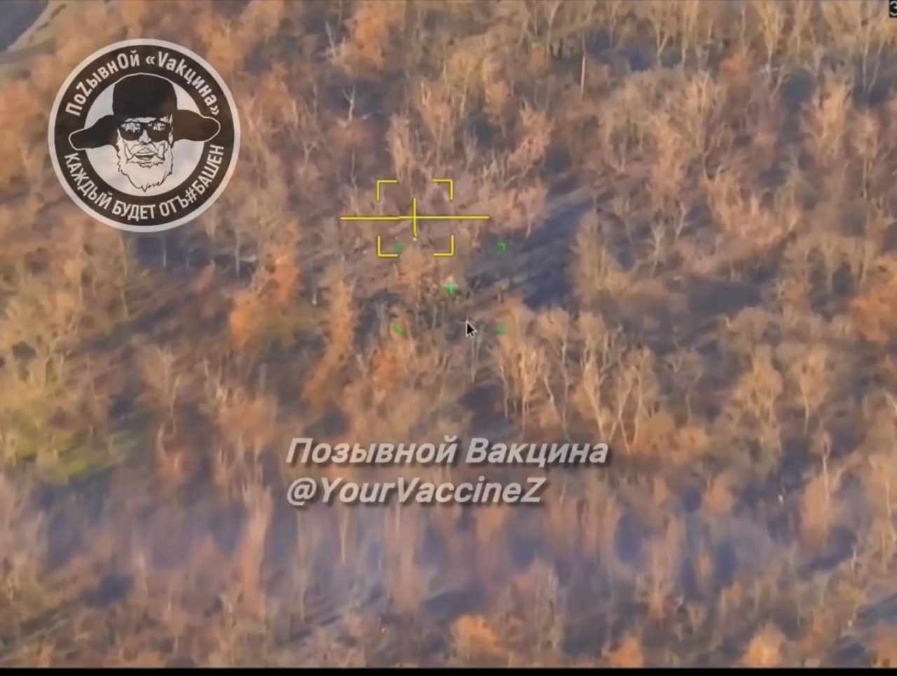 Изображение публикации 7683bb8e-032e-4d11-972c-907f1853e8e9