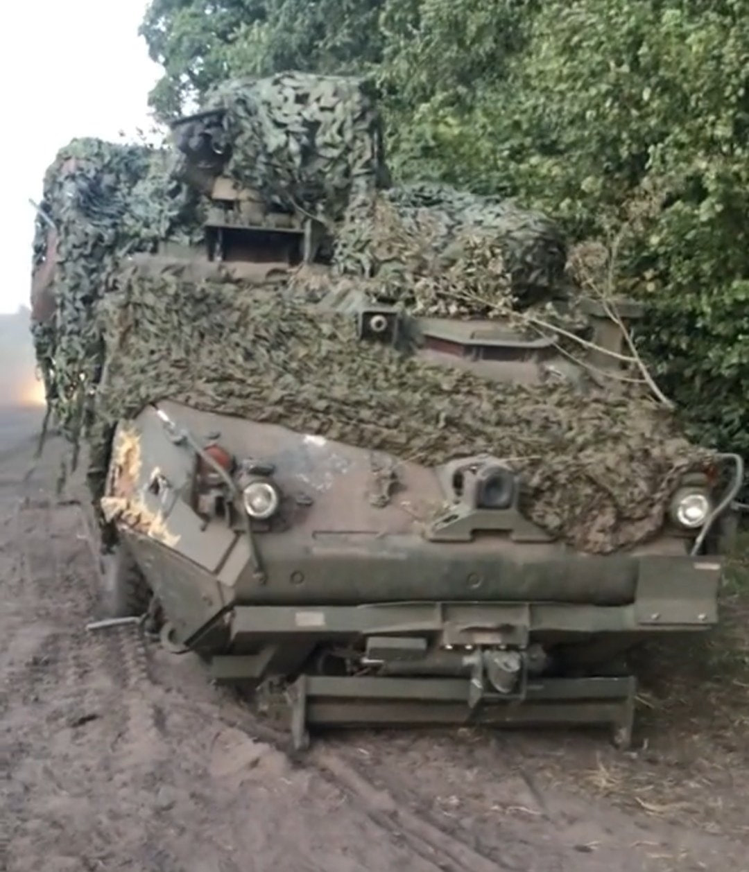 Изображение публикации 76d29d5a-d7e3-4e1a-8bf7-bb26fea3cf82