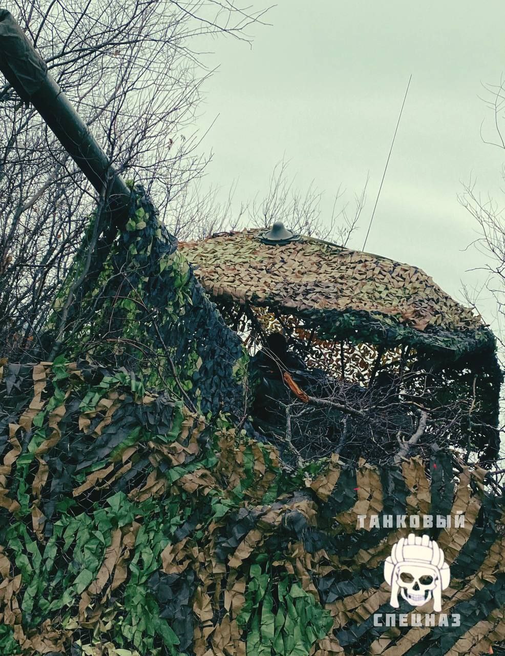 Изображение публикации 77ca375d-dd51-439d-9f7f-09c791b3f39f