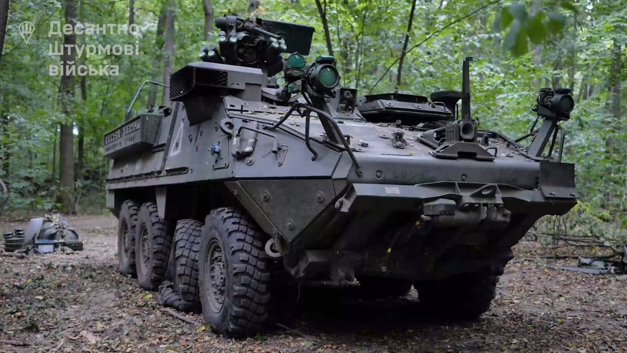 Изображение публикации 781e4119-5cff-4335-bc27-62482a939fc0