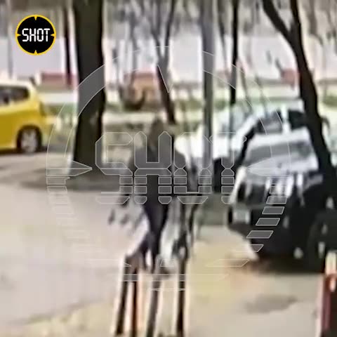 Превью видео