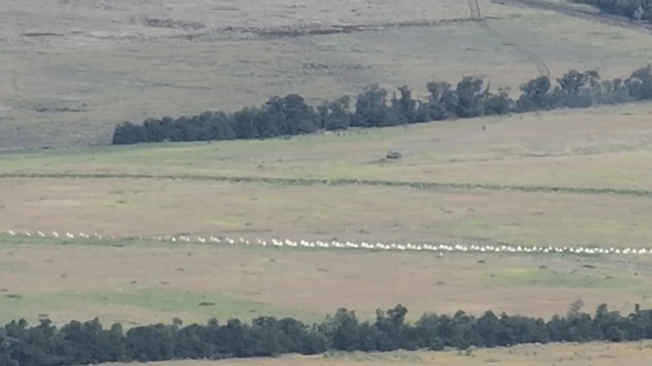 Изображение публикации 7919c2f4-18ba-4727-b665-6427c363d7ef