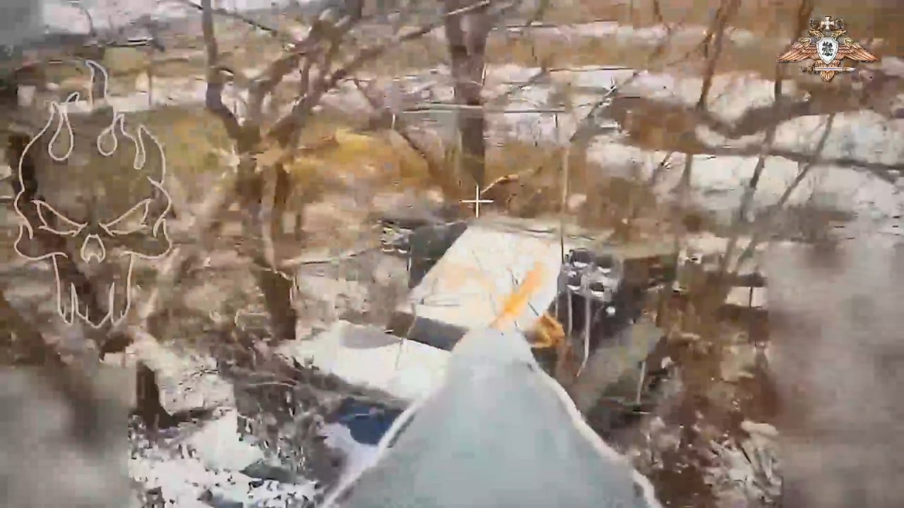 Изображение публикации 792ee636-7672-40e1-bc4b-0ad0b619342d