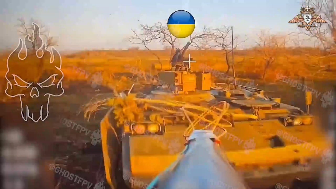Изображение публикации 792ee636-7672-40e1-bc4b-0ad0b619342d