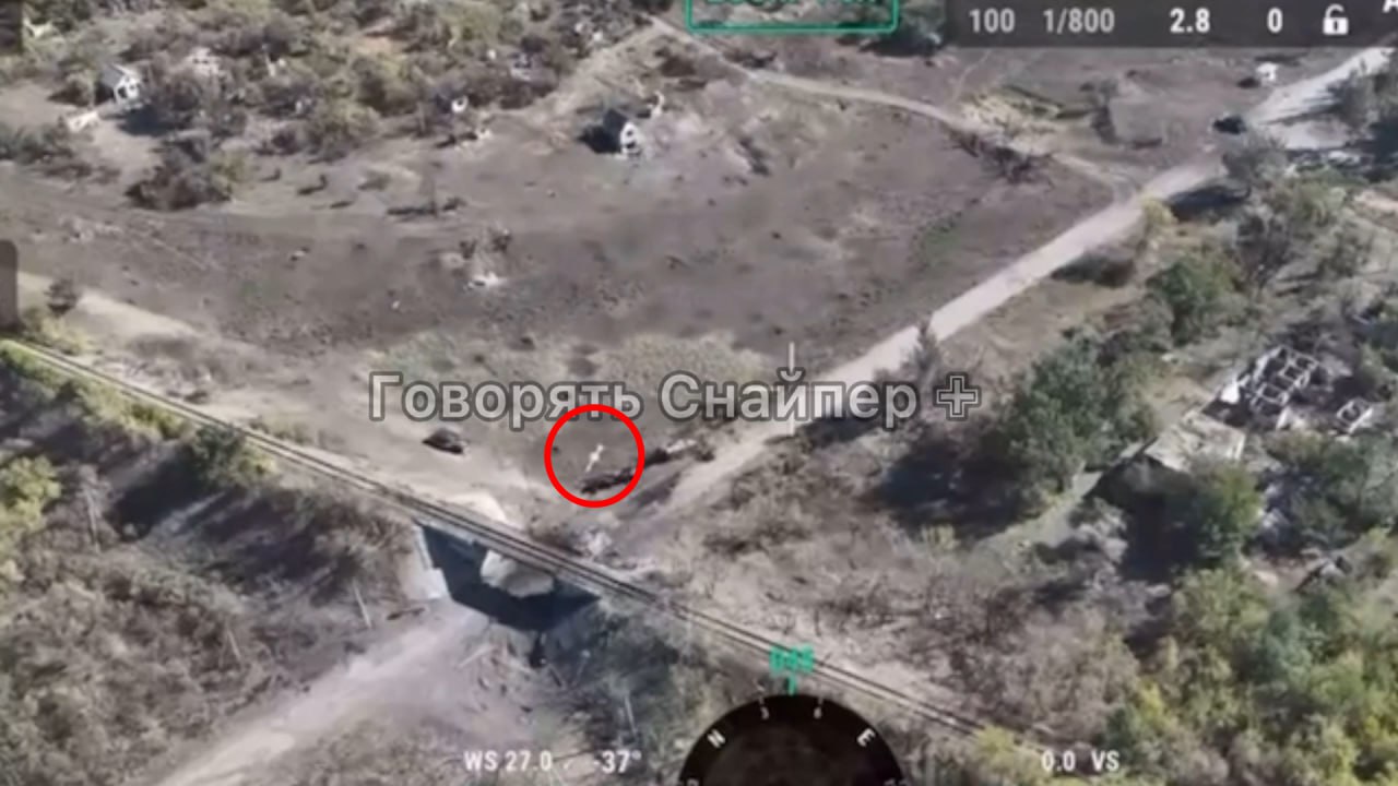 Изображение публикации 797eb0c8-a038-4713-aa94-8b5da83d8b75