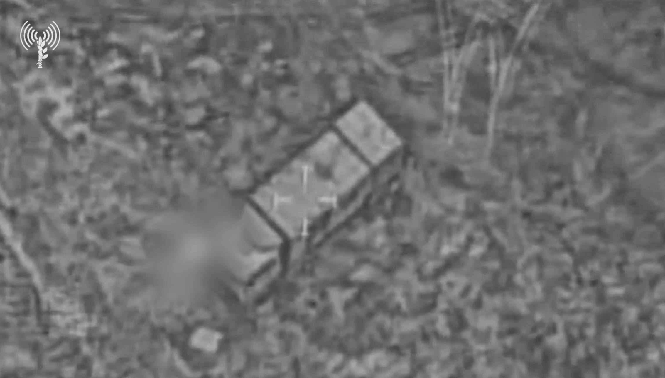 Изображение публикации 79822bd1-c54a-4ce9-8ca5-cb676377b28b