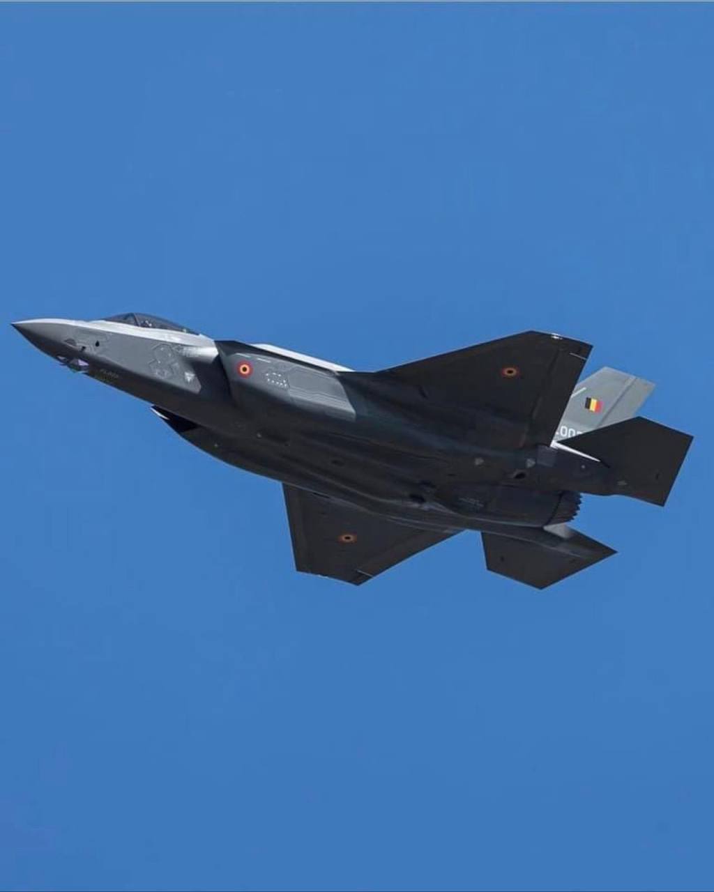 Изображение публикации 7b1b34a5-6d4f-4f13-8745-32d28751f9c7