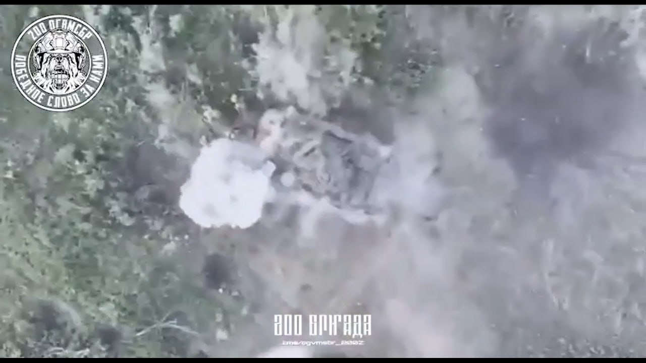 Изображение публикации 7b961a1b-76f6-4556-b14b-091605884493