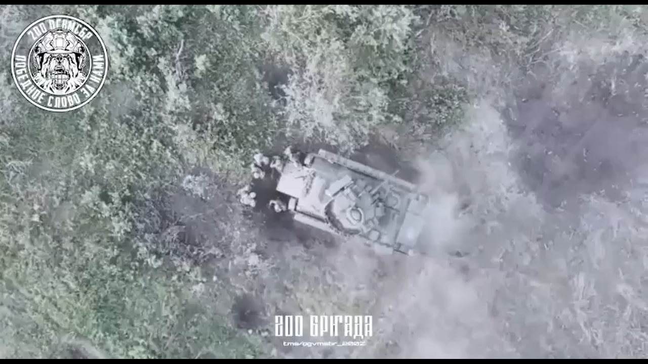 Изображение публикации 7b961a1b-76f6-4556-b14b-091605884493