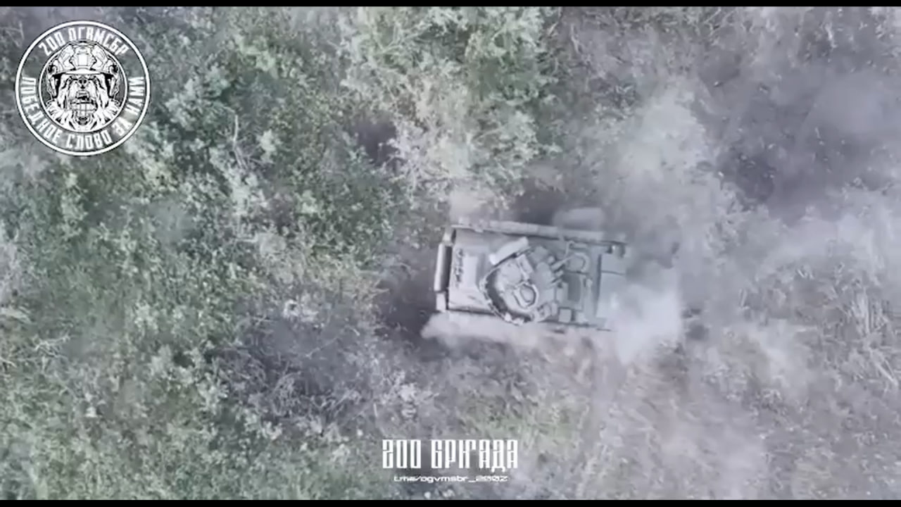 Изображение публикации 7b961a1b-76f6-4556-b14b-091605884493