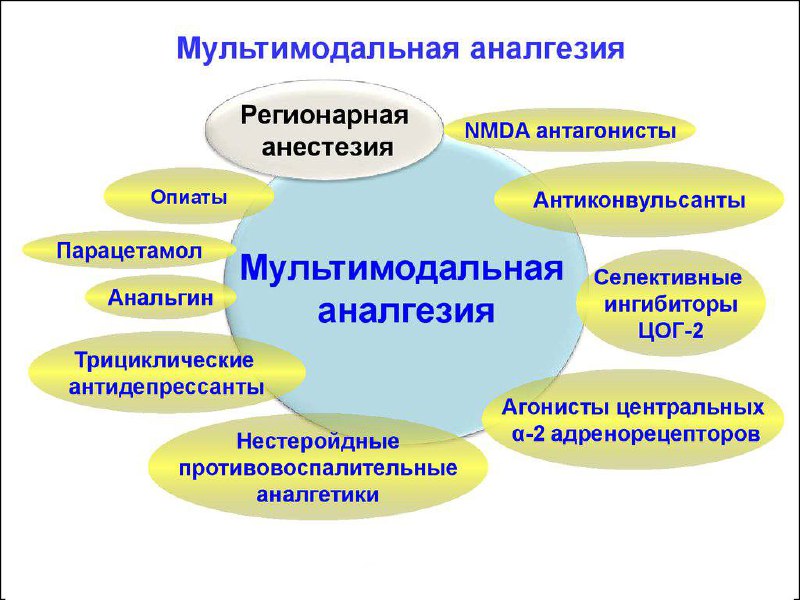 Изображение публикации 7c99944d-64e6-4624-b600-6c922367eee0