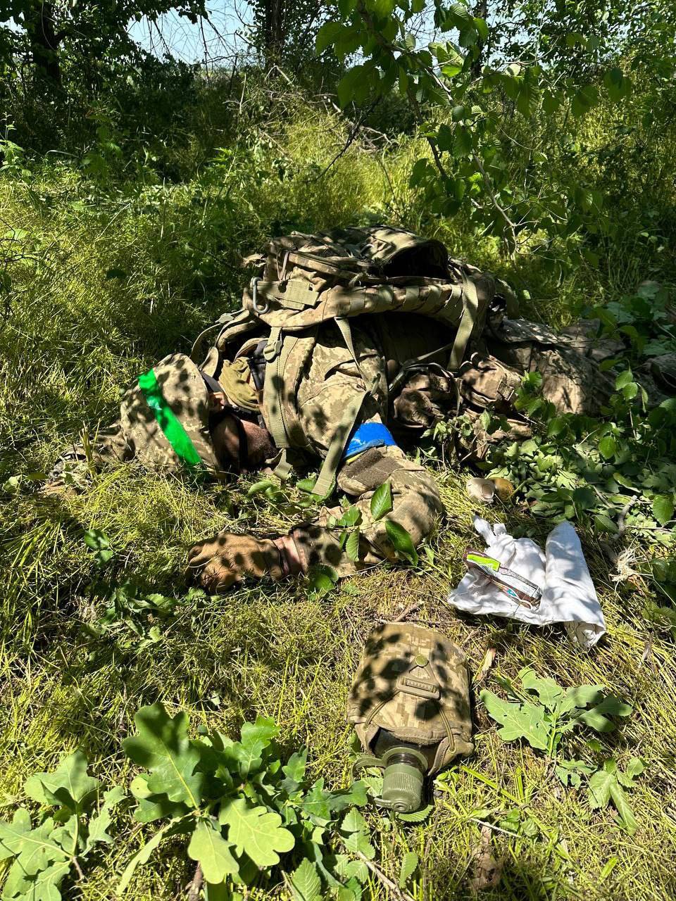 Изображение публикации 7e6b4611-6d53-45e1-86f5-6313007efaca