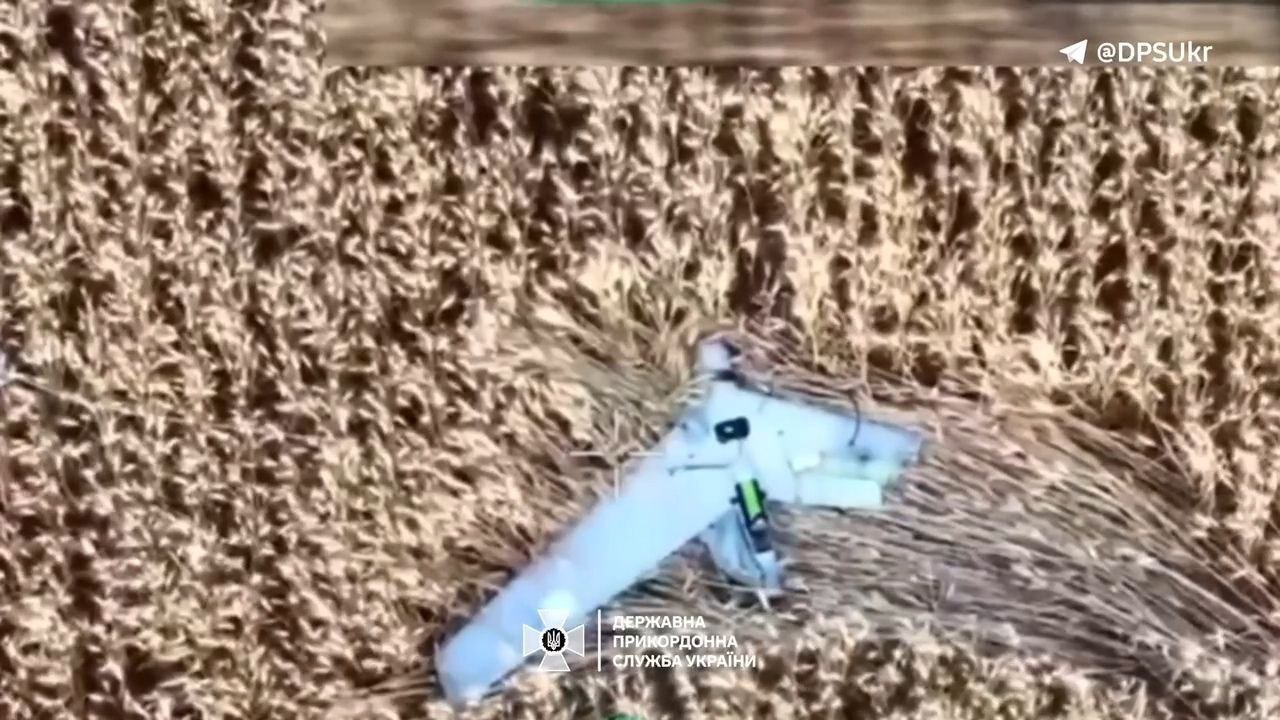 Изображение публикации 80e26e25-e271-4f30-afe3-89d925c1f133