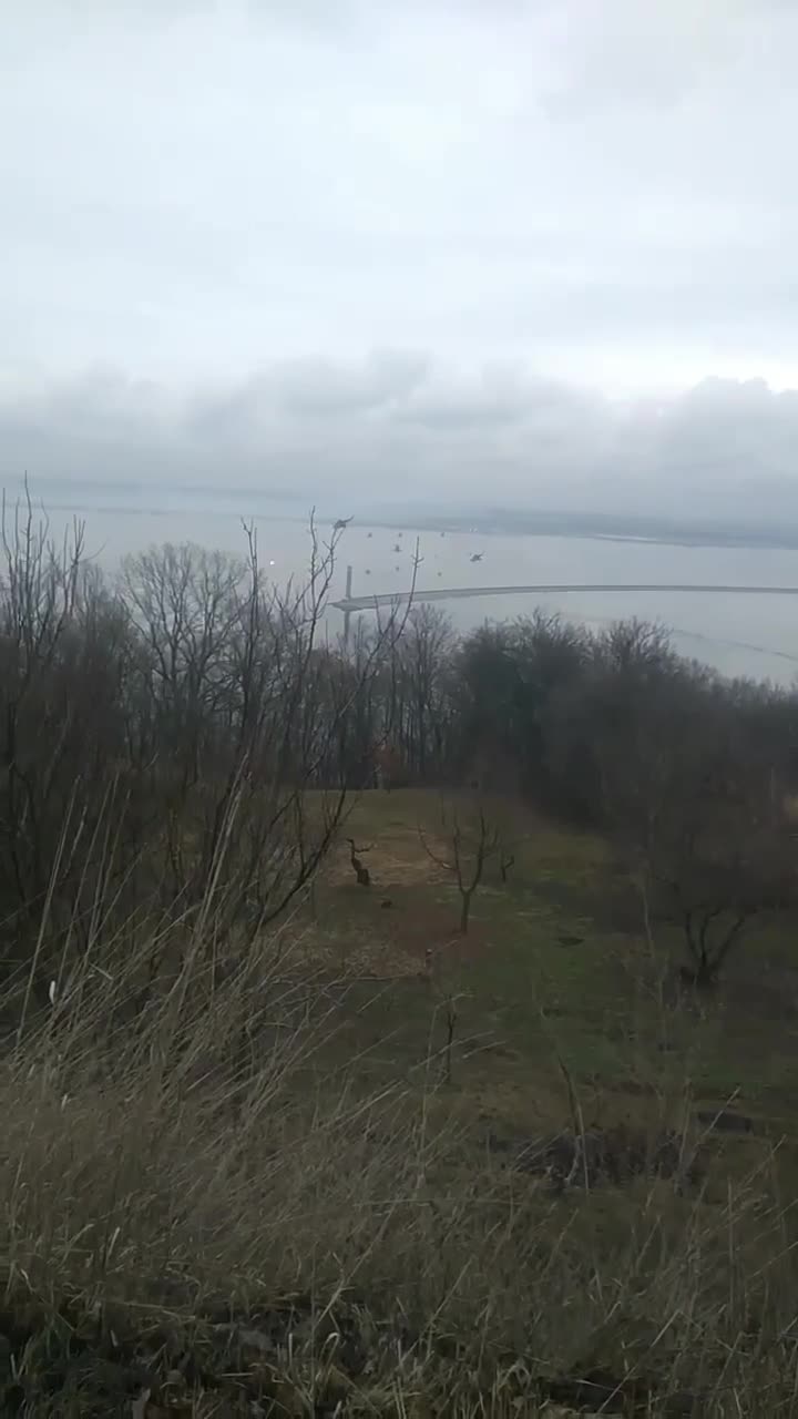 Превью видео