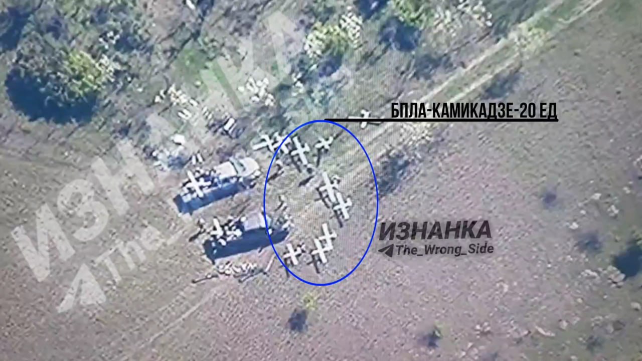 Изображение публикации 823392df-ed69-430d-98eb-ab29faa8445f