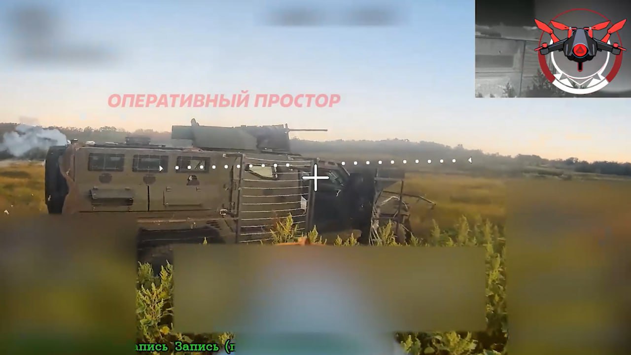 Изображение публикации 824832e6-c6d5-489a-962b-dc7a4863e579
