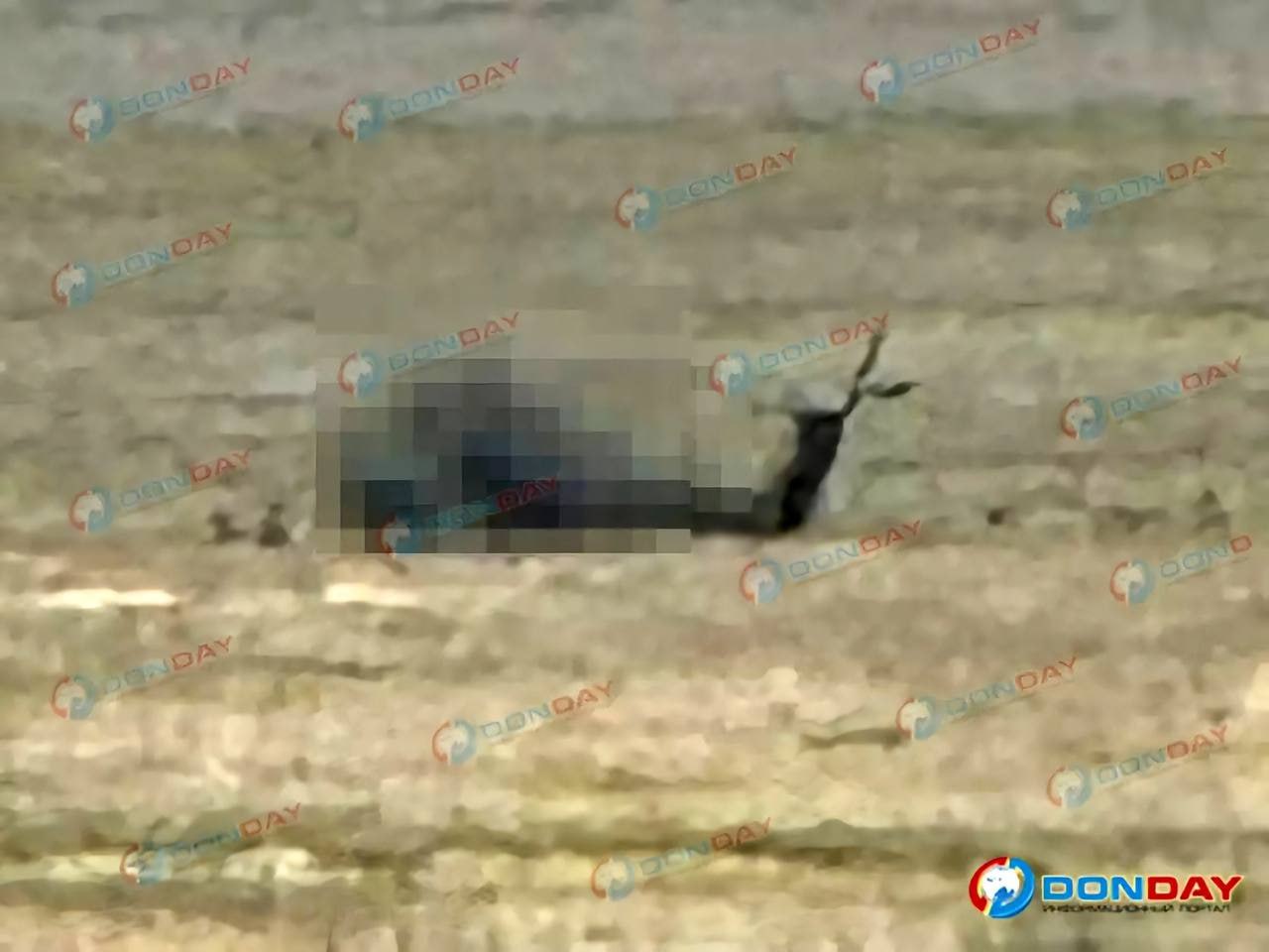 Изображение публикации 8326c73b-673e-4171-90f3-5e53e85ed31e