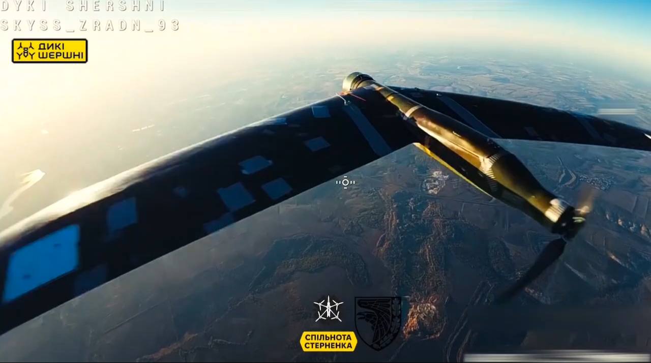 Изображение публикации 84160c9c-04ff-4bc0-b18a-7f0385c4965a