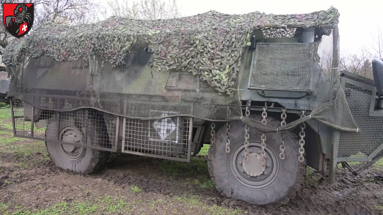 Изображение публикации 850583a9-5a89-4fdb-bf0a-61d145d139b1