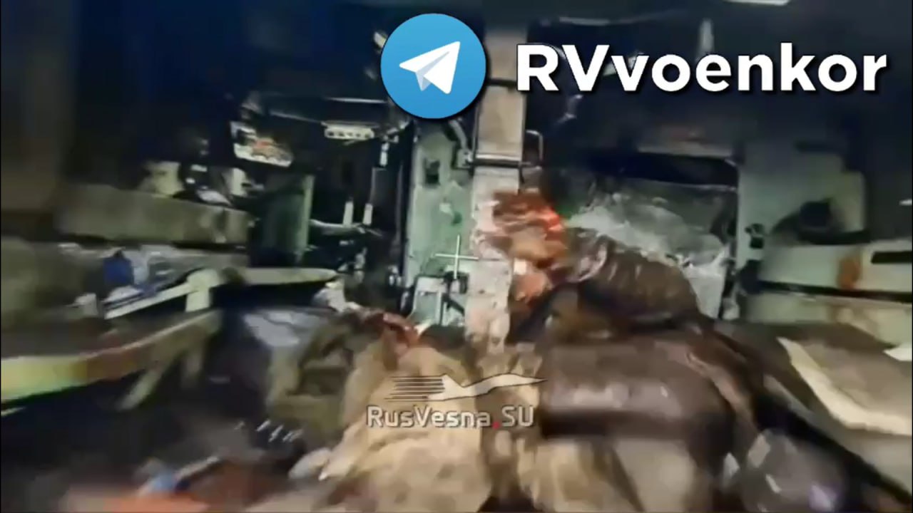 Изображение публикации 85383111-bda0-439d-a4eb-dfbc0e5e947f
