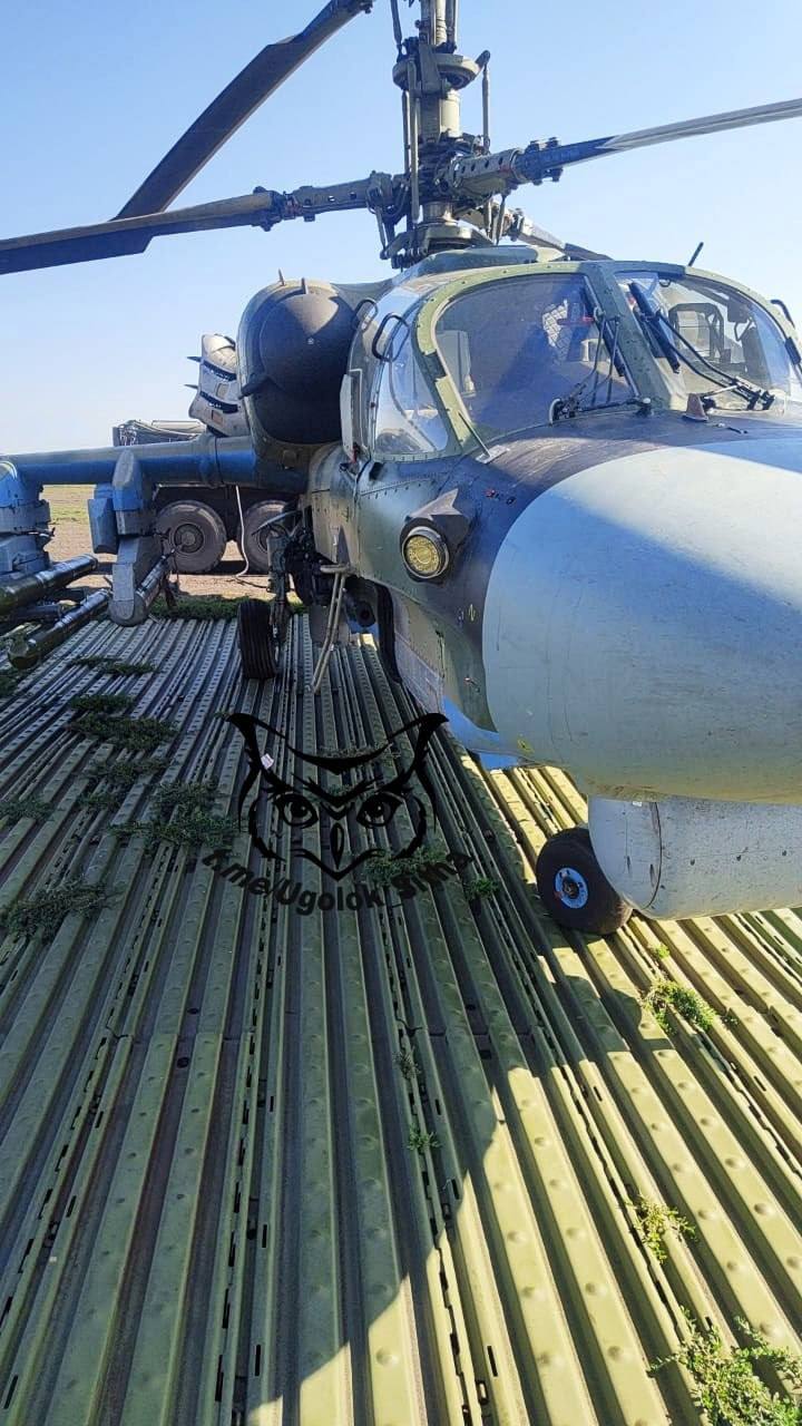 Изображение публикации 8655ef6c-b3f0-4031-af62-9ed24489d696