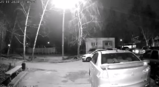 Превью видео