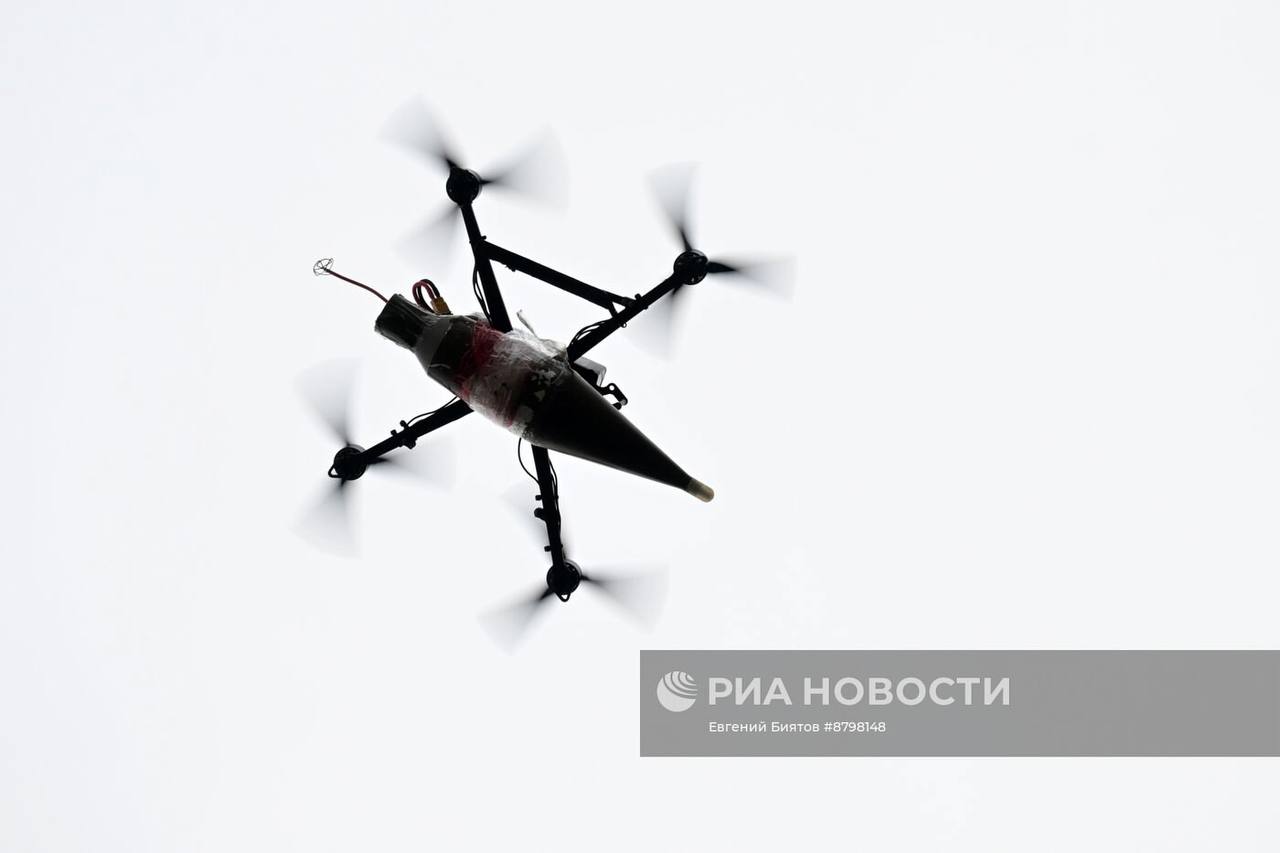 Изображение публикации 8a2b4f6c-8660-40cd-a4c1-fcbfb7099621
