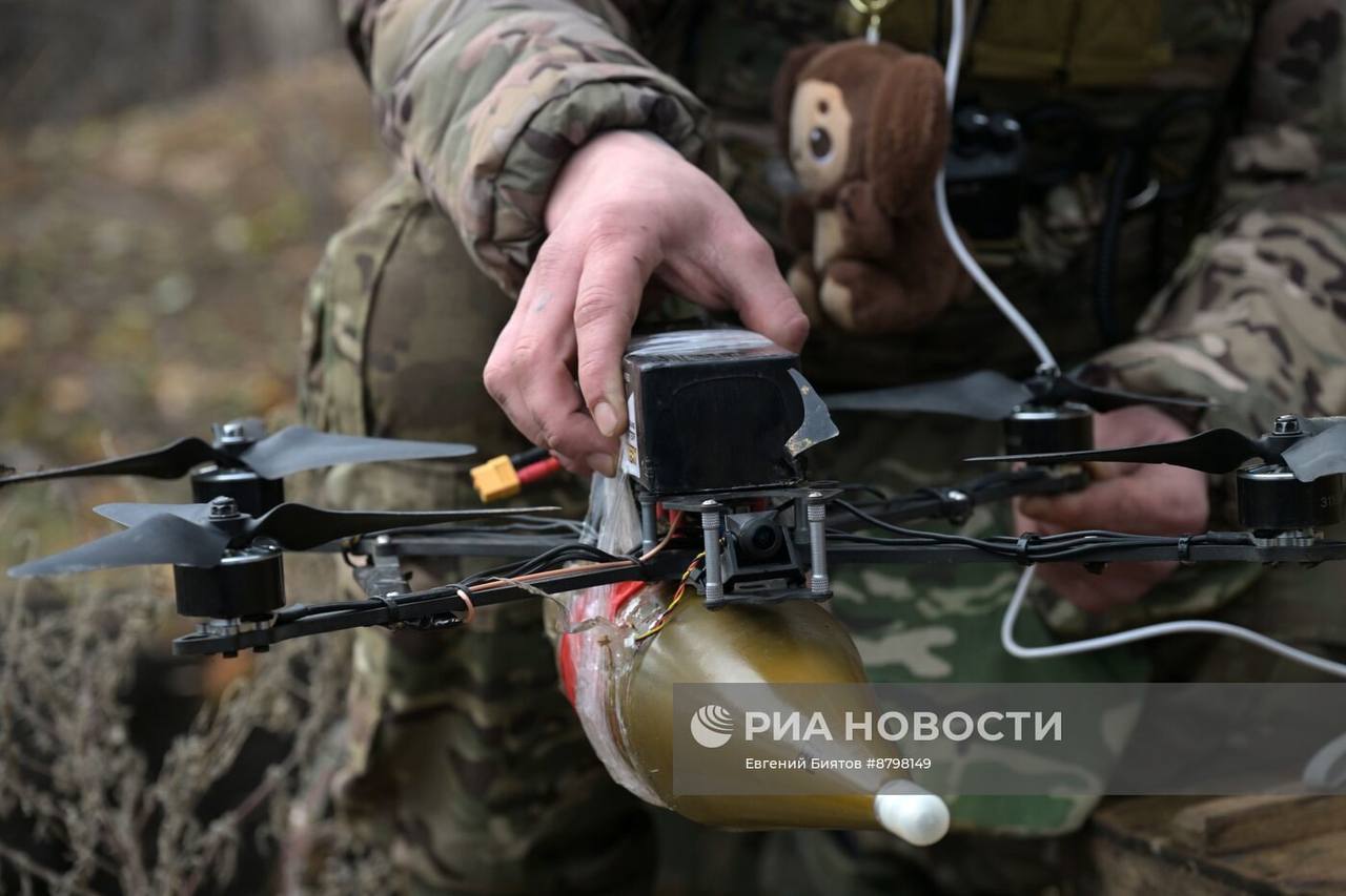 Изображение публикации 8a2b4f6c-8660-40cd-a4c1-fcbfb7099621
