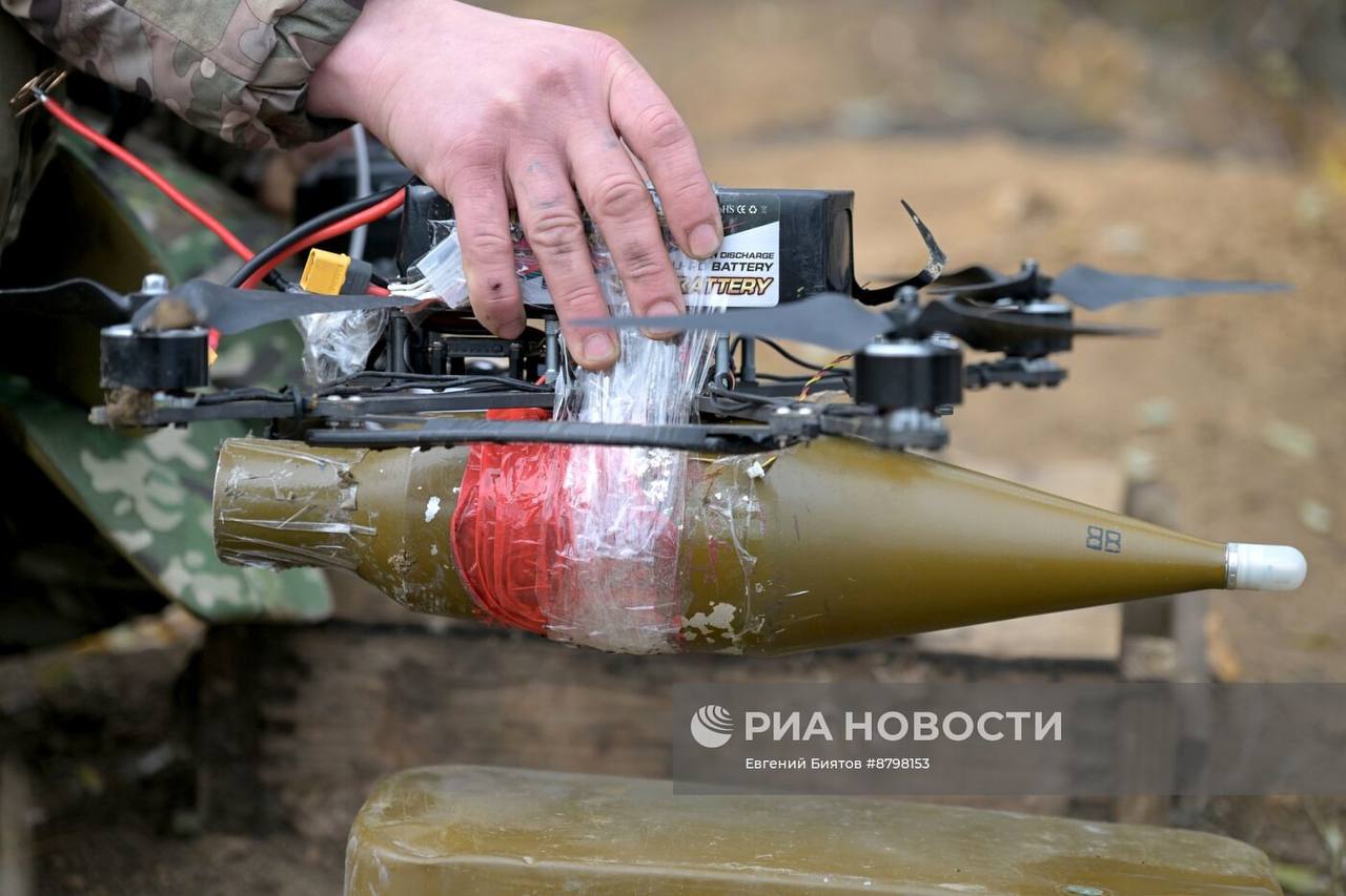 Изображение публикации 8a2b4f6c-8660-40cd-a4c1-fcbfb7099621