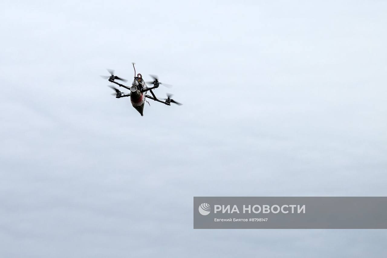 Изображение публикации 8a2b4f6c-8660-40cd-a4c1-fcbfb7099621