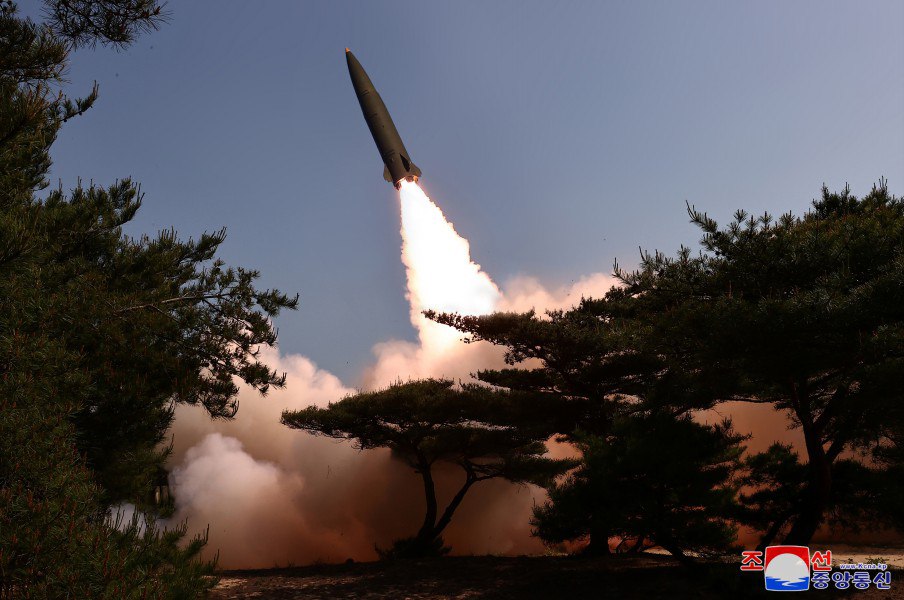 Изображение публикации 8aa8b367-be3d-4d28-bf5e-2965174f7121