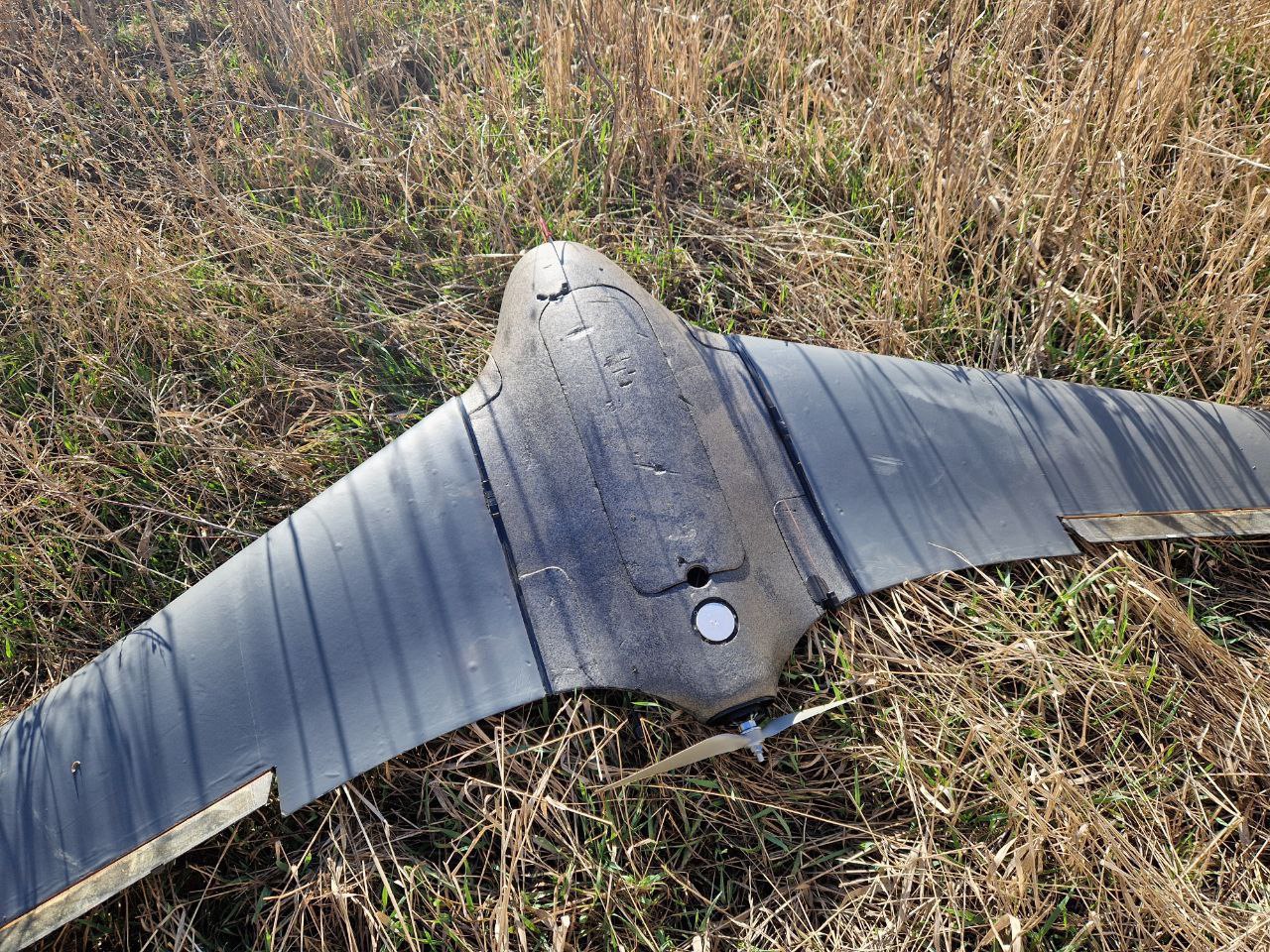 Изображение публикации 8c86f394-62d6-4e76-bfdc-f4e8b9823ee1
