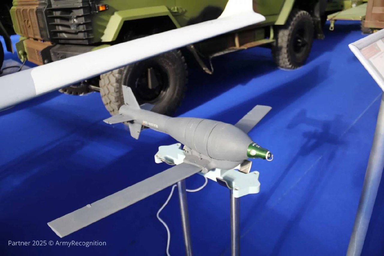 Изображение публикации 8d05e42f-91d4-430f-a816-0cf8c9d77d8d