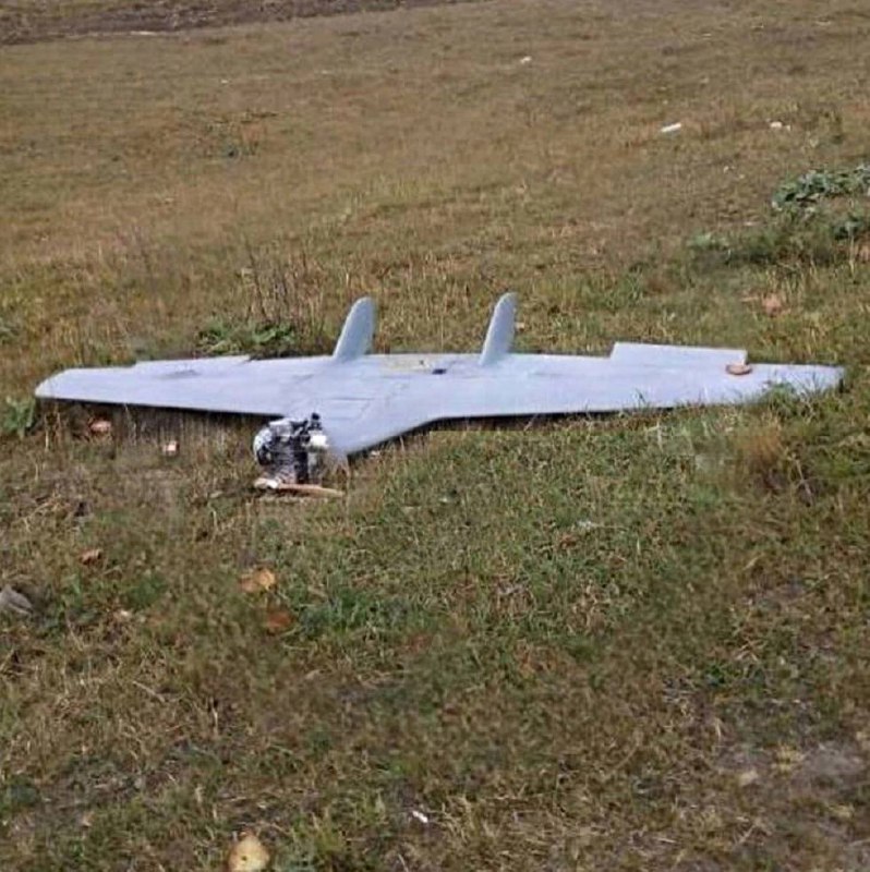 Изображение публикации 8d190480-236b-415b-a59a-a54bc7ce2445
