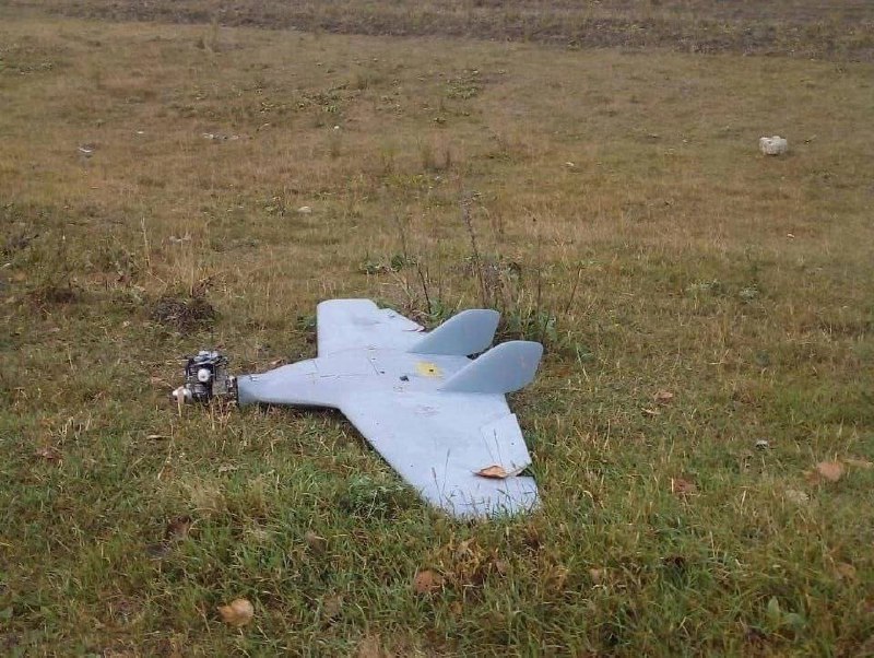 Изображение публикации 8d190480-236b-415b-a59a-a54bc7ce2445