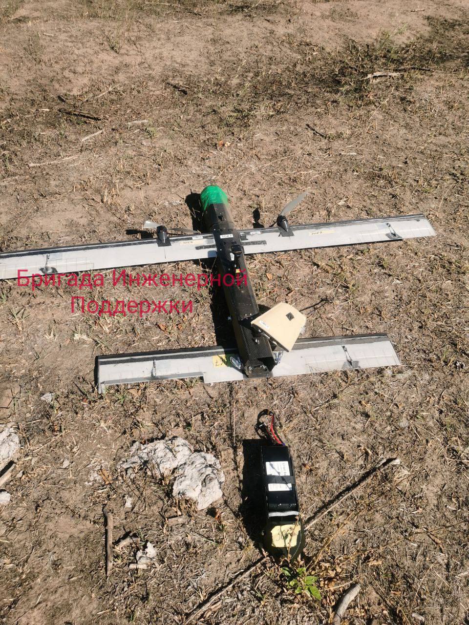 Изображение публикации 8d63c8f3-9be4-46a7-8749-339d3c8fa91b