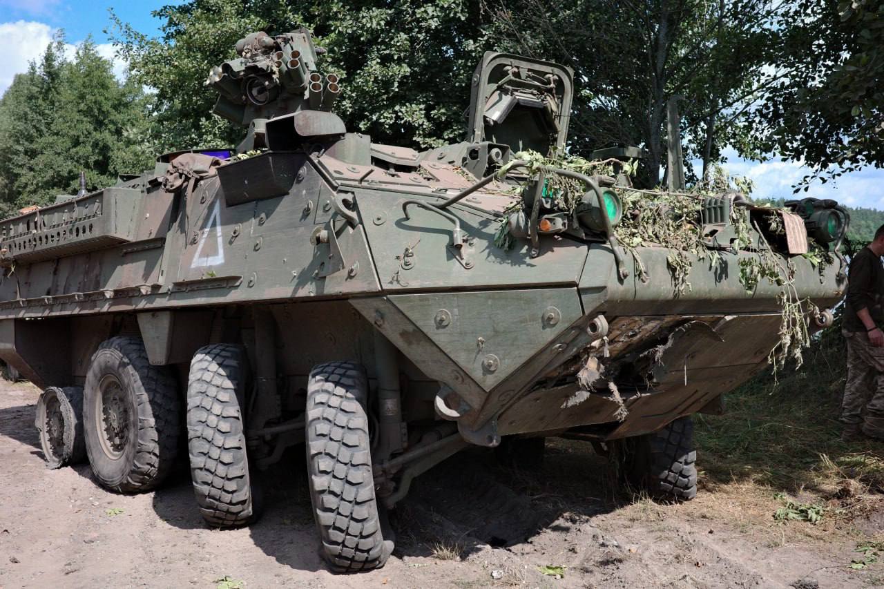 Изображение публикации 8e16d3ef-b8b8-4b2a-a3e2-f03ad0a61ee8