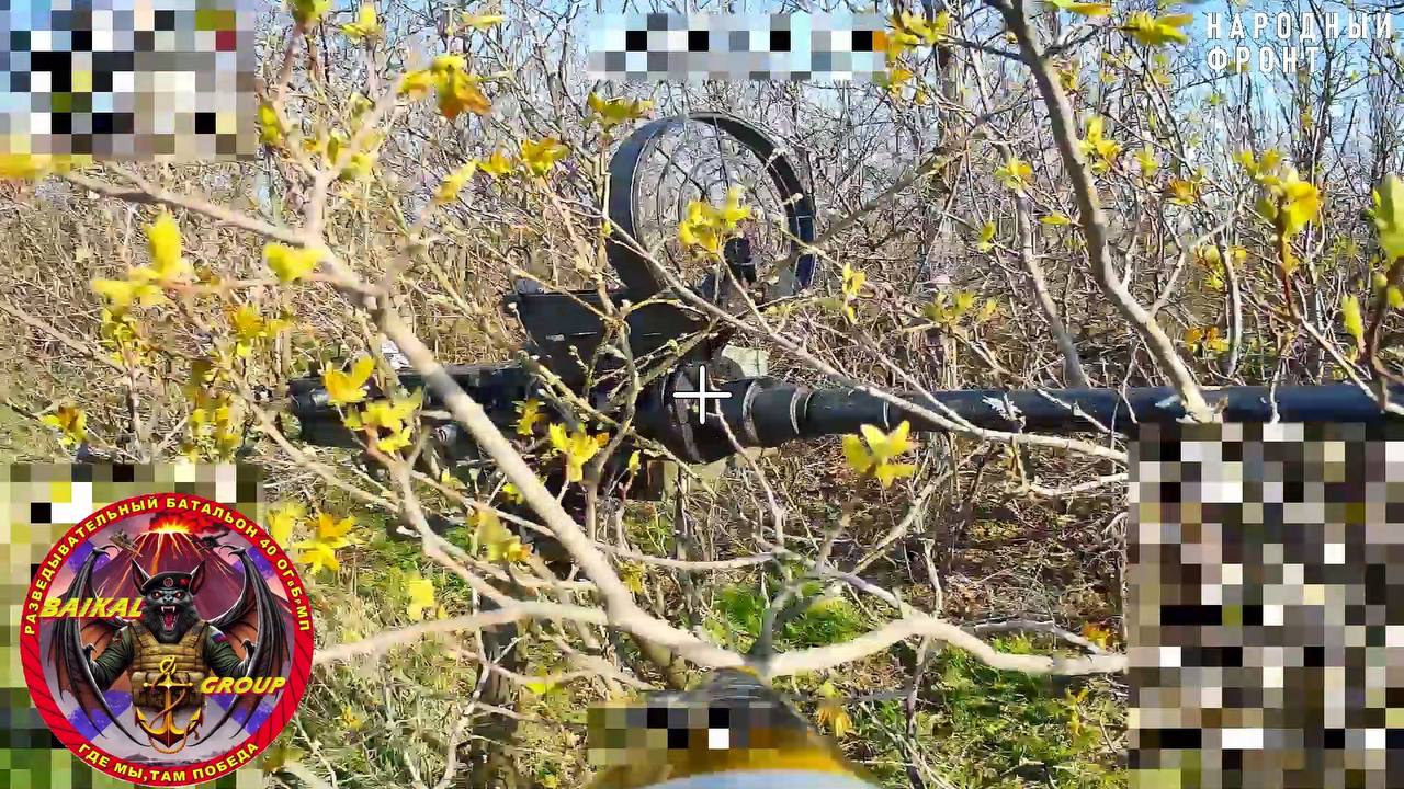 Изображение публикации 8e50c124-055c-42a4-8ab4-989aa91d7e3d