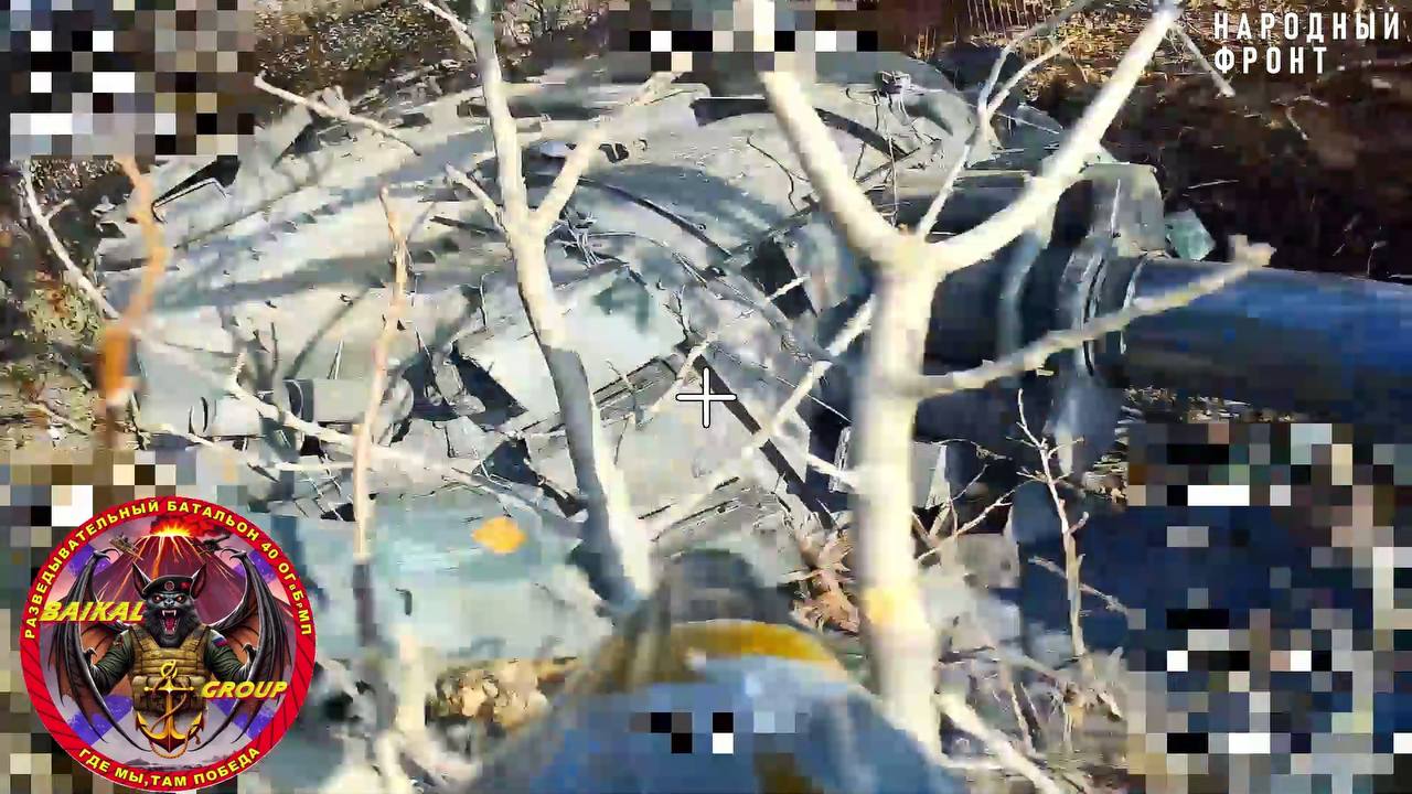 Изображение публикации 8e50c124-055c-42a4-8ab4-989aa91d7e3d