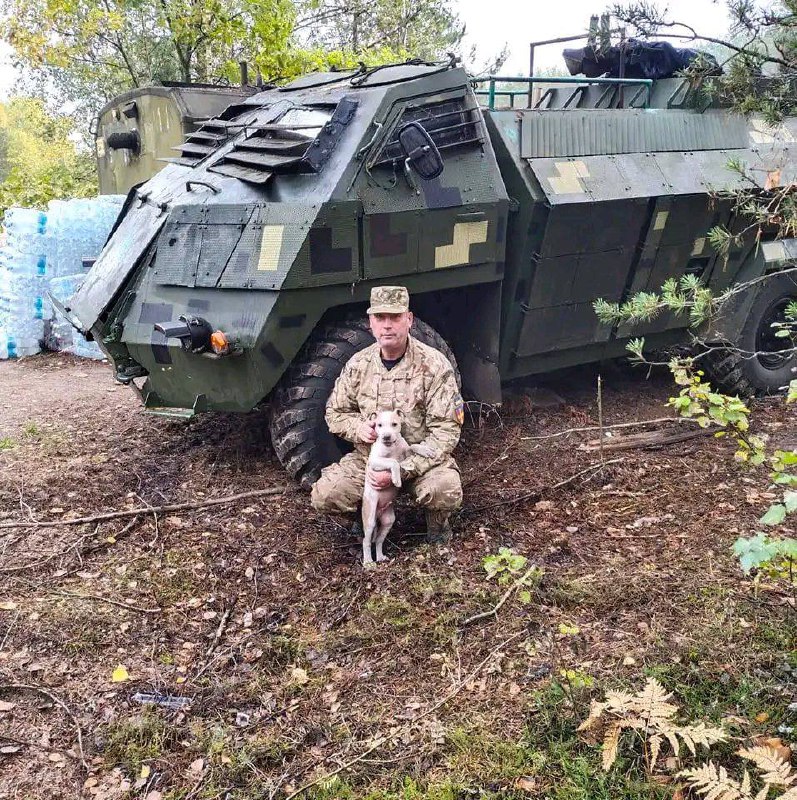 Изображение публикации 8e7a80fc-0586-4af4-873a-d487e03e4301