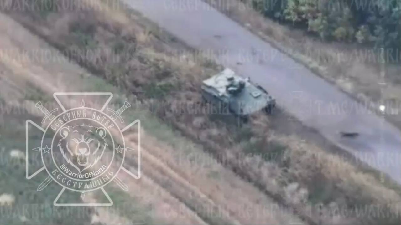 Изображение публикации 8eacd1d9-44c2-4999-b804-a2e7ceb9e090